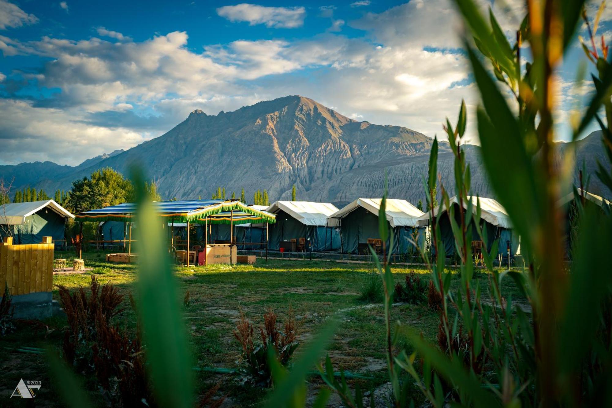 Bed and Breakfast Green Throne Camp Лех Экстерьер фото